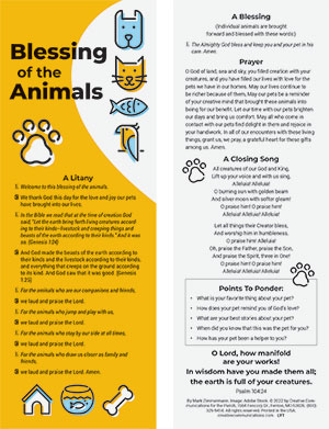 Blessing Of The Animals Litany
