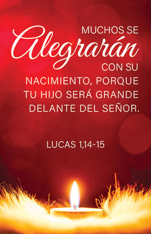 Spanish Advent Prayer Card