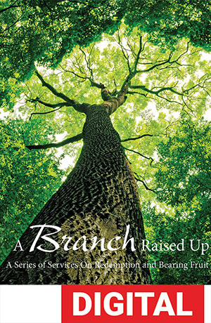 A Branch Raised Up Services