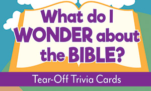 What Do I Wonder About The Bible? - Tear-Off Trivia Card Pack